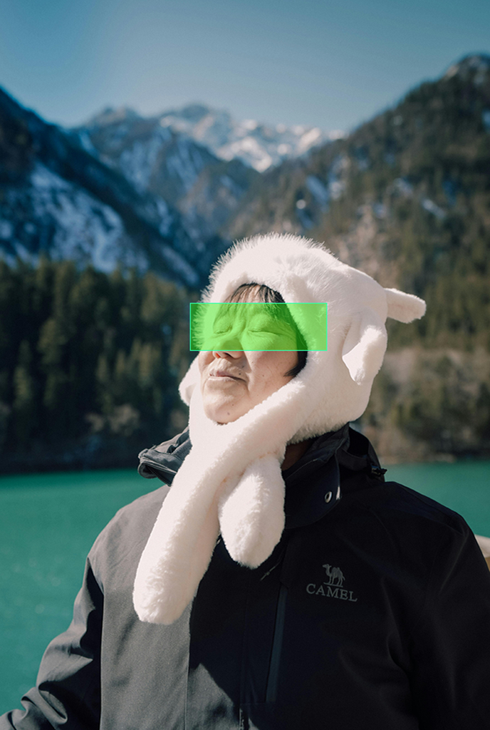 Input Image 14