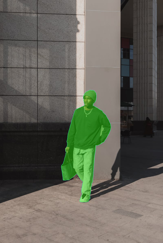 Input Image 13
