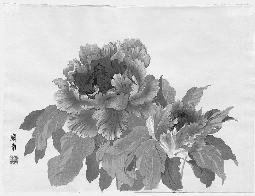 Original Image 1